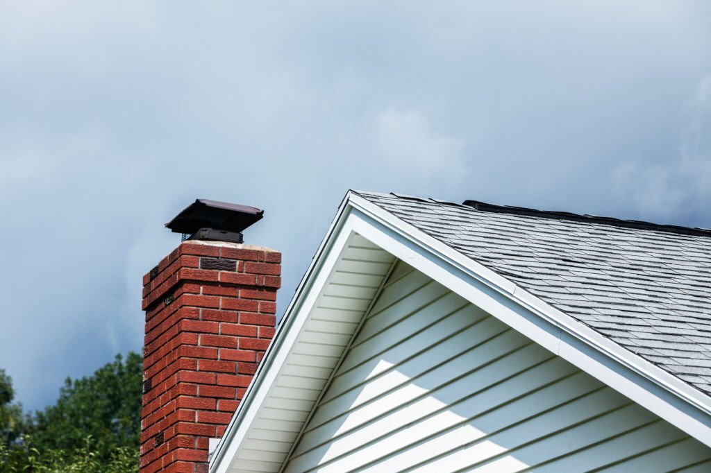 Chimney Inspection Professional